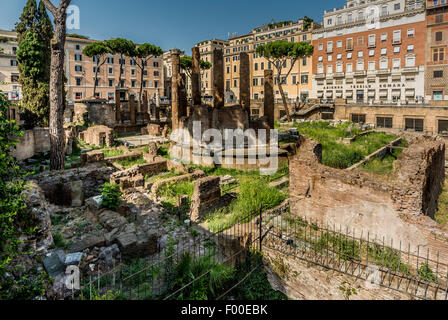 Largo di Torre Argentina le rovine romane di templi e Pompeo Theatre. Ora un gatto santuario. Roma. L'Italia. Foto Stock