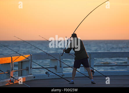 Pescatore in azione, Belgio, Nieuwpoort Foto Stock