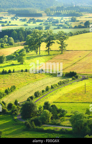 Vista aerea di paesaggio di Bocage con siepi e alberi, Belgio, Viroin Foto Stock