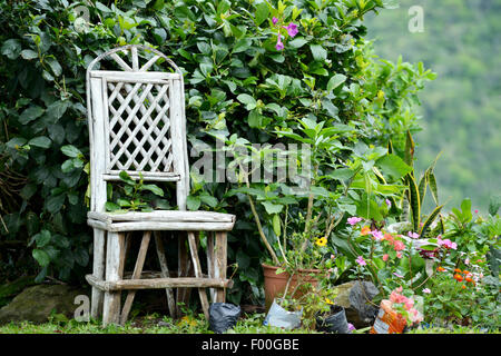 Il vecchio giardiniere sedia in un giardino fiorito nelle montagne del Panama Foto Stock