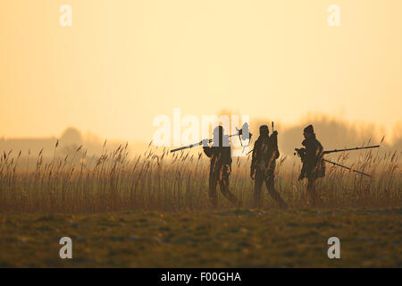 Gli amanti del birdwatching a piedi lungo la frangia reed al tramonto, Belgio Foto Stock