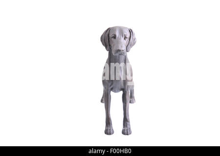 Weimaraner figurina isolato su uno sfondo bianco Foto Stock