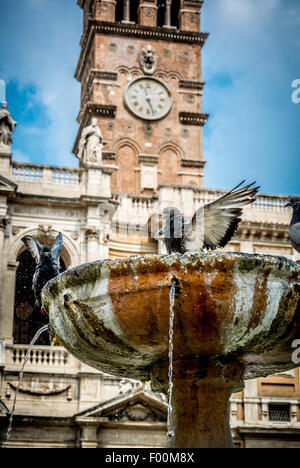 Piccioni in Fontana al di fuori dell'Oriente davanti alla Basilica di Santa Maria Maggiore Foto Stock