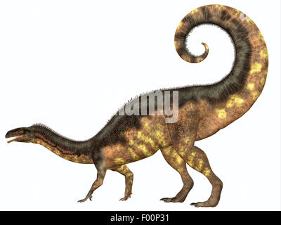Plateosaurus era un prosauropod dinosauro erbivoro che visse nel Triassico Età dell'Europa. Foto Stock