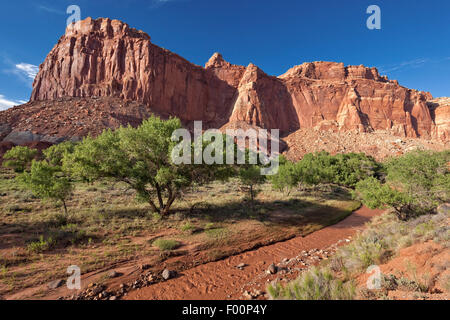 Parco nazionale di Capitol Reef e Wingate monumento di pietra arenaria e Zolfo Creek - Utah Foto Stock