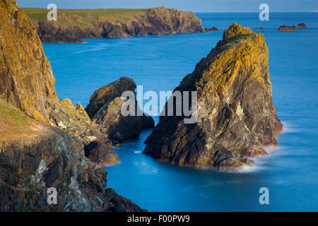 Costa rocciosa nei pressi di lucertola, Cornwall, Inghilterra Foto Stock