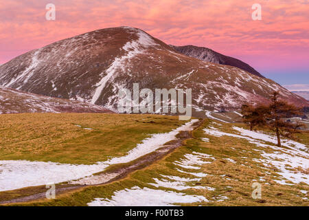 Vista da Latrigg verso a doppio spiovente o Blencathra, Parco Nazionale del Distretto dei Laghi, Cumbria, England, Regno Unito, Europa. Foto Stock