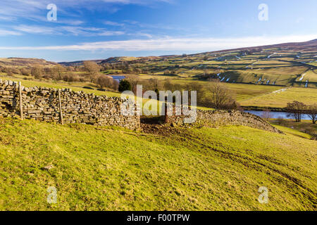 Swaledale una delle valli più settentrionali (valli) nel Yorkshire Dales National Park, North Yorkshire, Inghilterra, Regno Unito Foto Stock