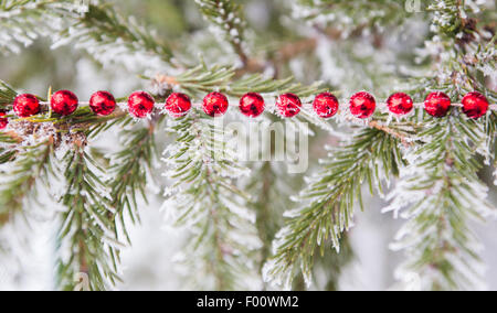 Decorazione di natale su una pelliccia-alberi coperti di neve Foto Stock