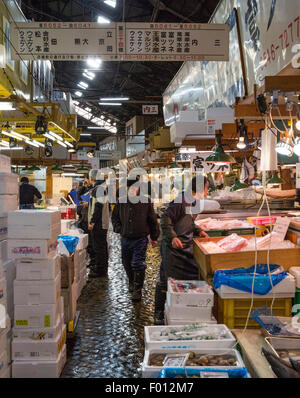 Mattina trambusto a Tsukiji Central Mercato del Pesce a Tokyo in Giappone, il più grande mercato del pesce nel mondo Foto Stock