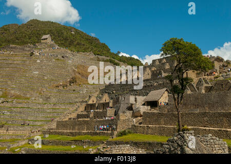 La casa di guardia in rovine Inca di Machu Picchu, Perù Foto Stock