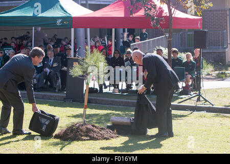 Centenario della battaglia di Lone Pine tra Australia e forze Ottomano durante la Prima Guerra Mondiale è commemorato a Avalon scuola pubblica, Sydney, Australia. Il Governatore del New South Wales, il generale David Hurley piantato il Lone Pine e svelato un cerimoniale di placca. Foto Stock