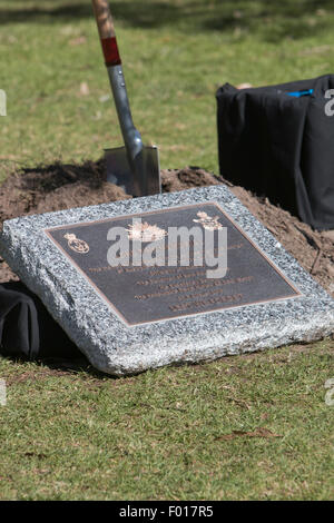 Centenario della battaglia di Lone Pine tra Australia e forze Ottomano durante la Prima Guerra Mondiale è commemorato a Avalon scuola pubblica, Sydney, Australia. Il Governatore del New South Wales, il generale David Hurley piantato il Lone Pine e svelato un cerimoniale di placca. Foto Stock