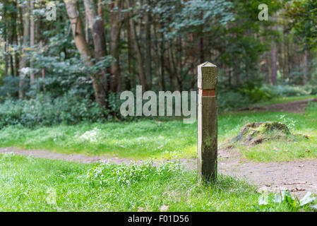 Palo di legno per mantenere sulla via della foresta Foto Stock