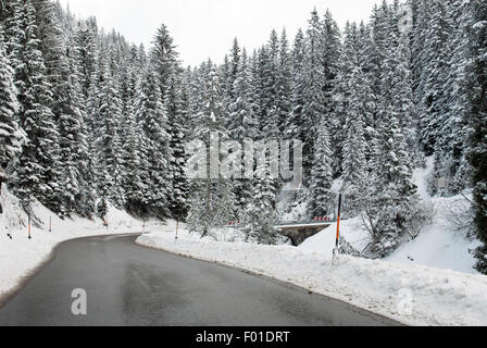 Una strada alpina attraverso una foresta in Austria Foto Stock