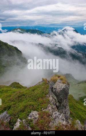 Nebbia in montagne dei Carpazi, dopo la tempesta, foreground splendide rocce Foto Stock