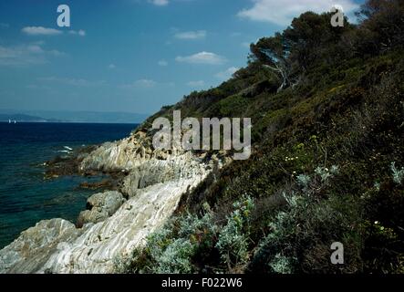 Uno scorcio del Parco Nazionale di Port Cros, Francia. Foto Stock