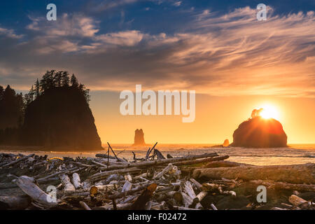 Tramonto La spiaggia di spinta nel Parco Nazionale di Olympic, nello Stato di Washington, USA Foto Stock