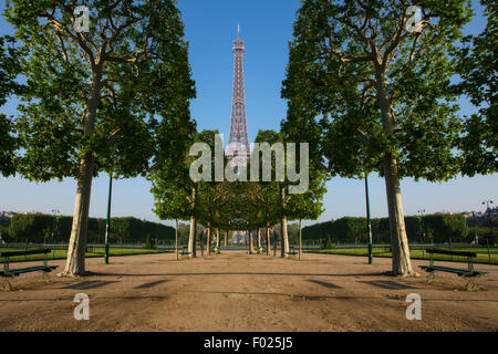 Ritratto di Torre Eiffel visto attraverso una fila di alberi Foto Stock
