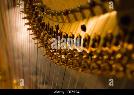 Dettaglio di arpa Foto Stock