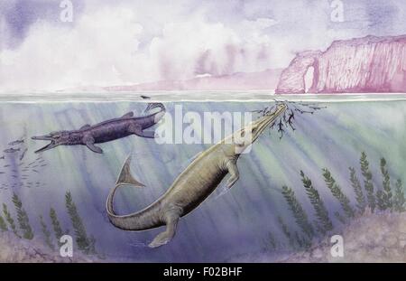 Zoopaleontologia - Era Mesozoica - i dinosauri - Metrioshynchus - Arte il lavoro di Graham Rosewarne Foto Stock