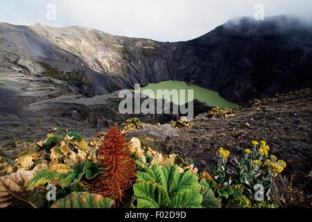 Il lago nella caldera sulla cima del vulcano di Irazu, Vulcano di Irazu National Park, Cartago, Costa Rica. Foto Stock