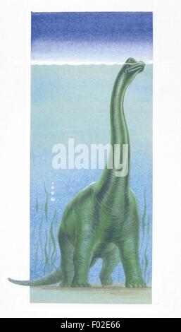 Zoopaleontologia - Giurassico - i dinosauri - Brachiosaurus - opera d'arte Foto Stock
