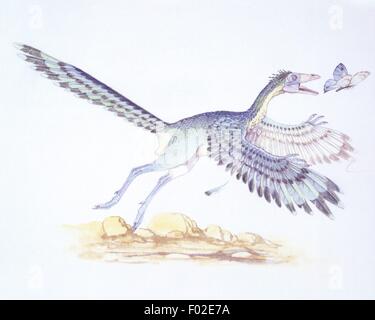 Zoopaleontologia - Era Mesozoica - uccelli fossili - Archaeopteryx - opera d'arte Foto Stock