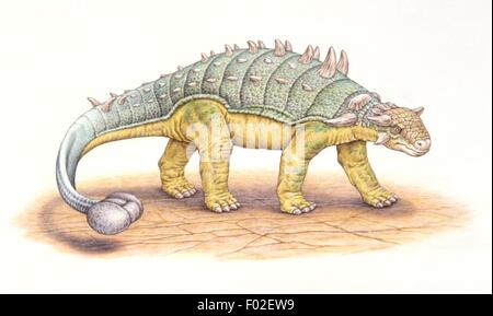 Zoopaleontologia - del periodo Cretaceo - i dinosauri - Euoplocephalus - opera d'arte Foto Stock