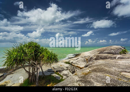 Albero di pandanus e rocce di granito sulla spiaggia, Belitung, Indonesia Foto Stock