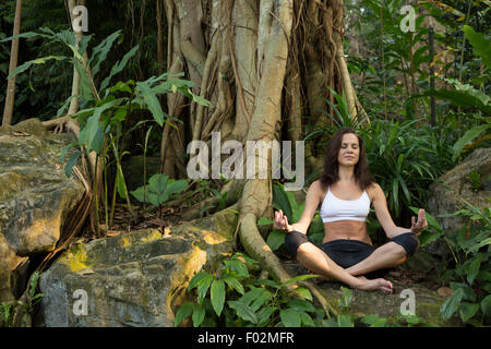 Donna seduta nella posizione del loto sotto un Banyan Tree Foto Stock