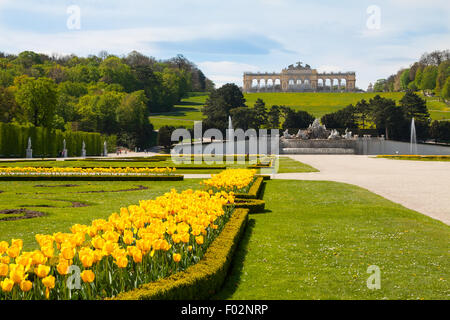 Palazzo di Schonbrunn giardini e Gloriette , Austria Foto Stock