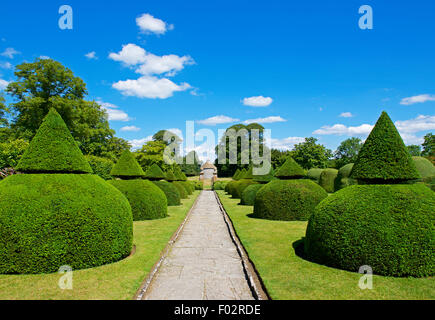 Topiaria da giardini a Lytes Carey Manor, una proprietà del National Trust nel Somerset, Inghilterra, Regno Unito Foto Stock