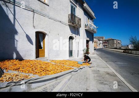 Mais di essiccazione nella parte anteriore del case, Castelluccio Valmaggiore, Puglia, Italia. Foto Stock