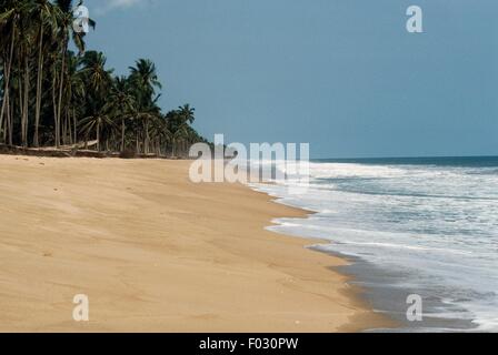 Spiaggia con palme vicino a Cotonou, Benin. Foto Stock