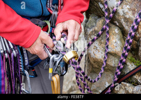 Climber di legatura e di attaccare una fune di arrampicata con un dispositivo di sosta rappel discensore a un cablaggio moschettone per belaying. Wales UK Gran Bretagna Foto Stock