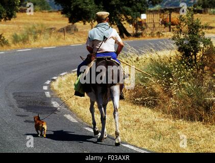 Monfrague National Park (Parque Nacional Monfrague), Estremadura, Spagna. Foto Stock