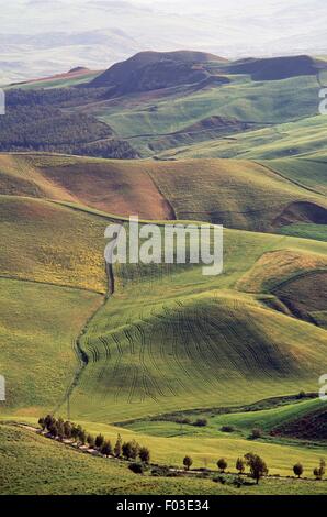 Il paesaggio agricolo nei pressi di Rocca di Entella, Contessa Entellina, Sicilia, Italia. Foto Stock