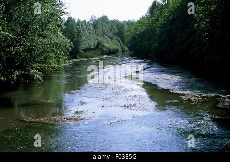 Una sezione del fiume Sile nel Parco Naturale Regionale del fiume Sile, Veneto, Italia. Foto Stock