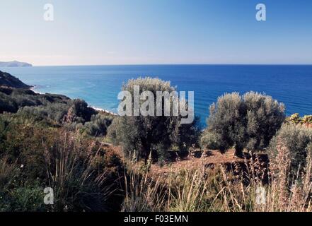 Borgo di Marina di Pisciotta, parco nazionale del Cilento e Vallo di Diano, Campania, Italia. Foto Stock