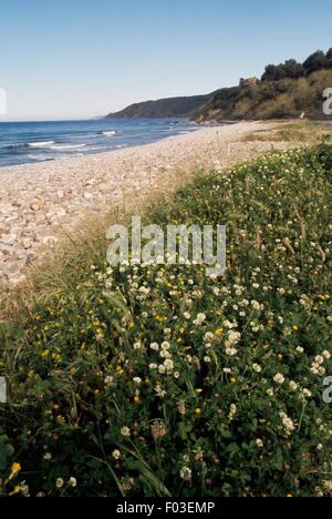 Marina di Pisciotta Beach, Parco Nazionale del Cilento e Vallo di Diano, Campania, Italia. Foto Stock