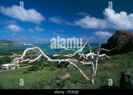 Guadalupa (dipartimento d'oltremare della Francia) - Isola di Saint Martin - Orient Bay. Foto Stock