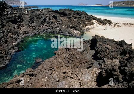 Le rocce vulcaniche e piscina naturale lungo il Mar Rosso, Zubair Isola Arcipelago Al-Zubair, Yemen. Foto Stock