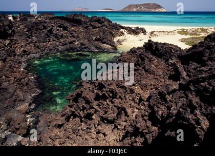 Le rocce vulcaniche e piscina naturale lungo il Mar Rosso, Zubair Isola Arcipelago Al-Zubair, Yemen. Foto Stock