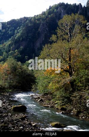 Il fiume Ishikari in Sounkyo Gorge, Daisetsuzan National Park, Hokkaido, Giappone. Foto Stock