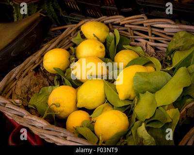 Cesto di limoni. Campo de' Fiori all'aperto il mercato alimentare a Roma. Foto Stock