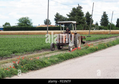 Un trattore essendo azionato da un lato la via a fianco di un'azienda. Foto Stock