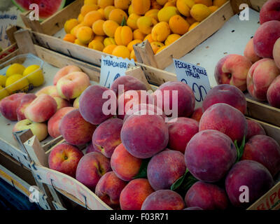 Frutta fresca stallo a Campo de' Fiori all'aperto il mercato alimentare a Roma. Foto Stock