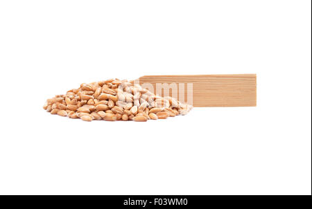 Farro su bianco Foto Stock
