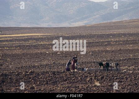 Persone e animali a un abbeveratoio, vicino Dezful, Provincia di Khuzestan, Iran. Foto Stock